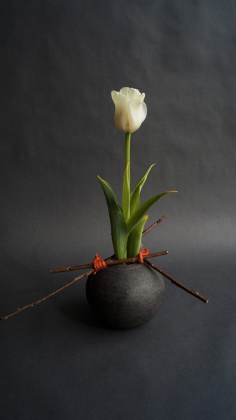 Kuglevase raku sort